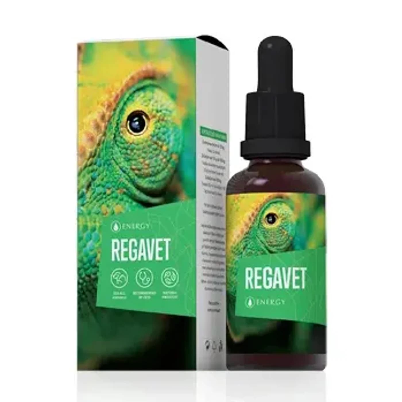 Regavet